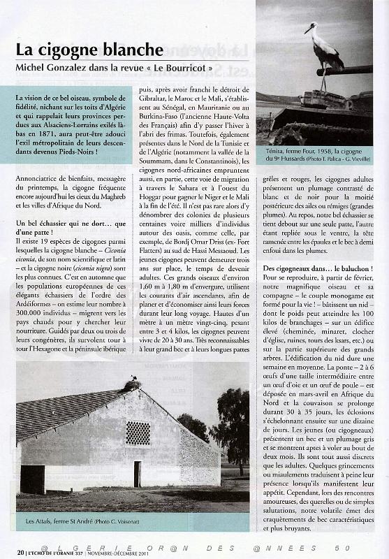 Cigogne  01 extrait de l echo d oranie 337.jpg